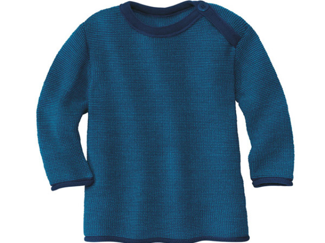 disana_pulli1